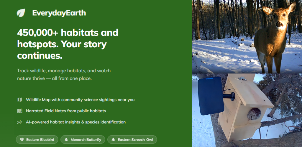 EverydayEarth logo